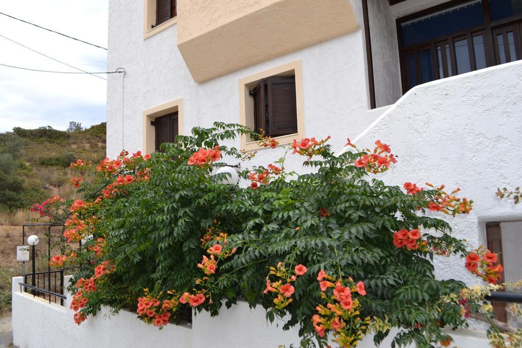 Bella Casa Appartamento Bali  Esterno foto